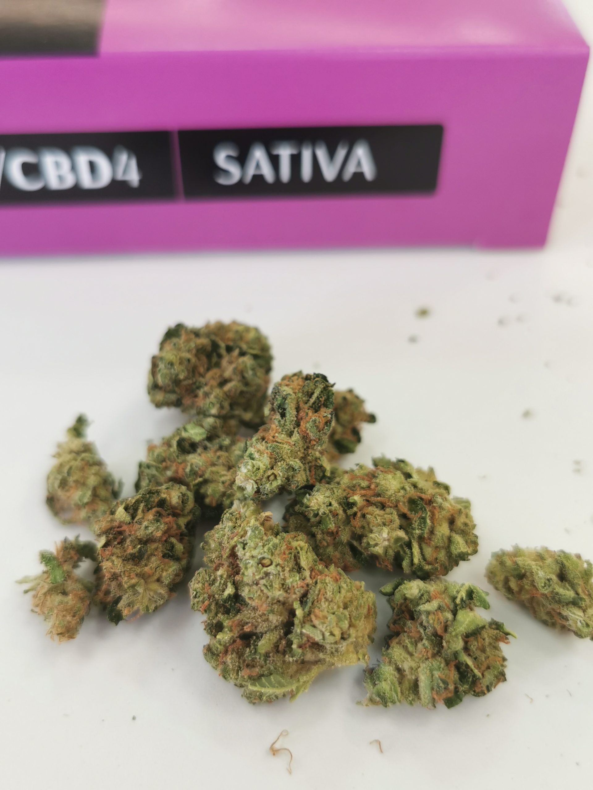 מובי דיק Md סאטיבה T20 C4 בול פארמה קנאליסט