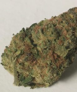 שישקברי קנאביס חוות דעת