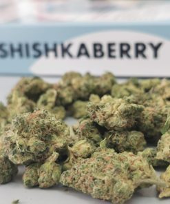 שישקברי יוניבו