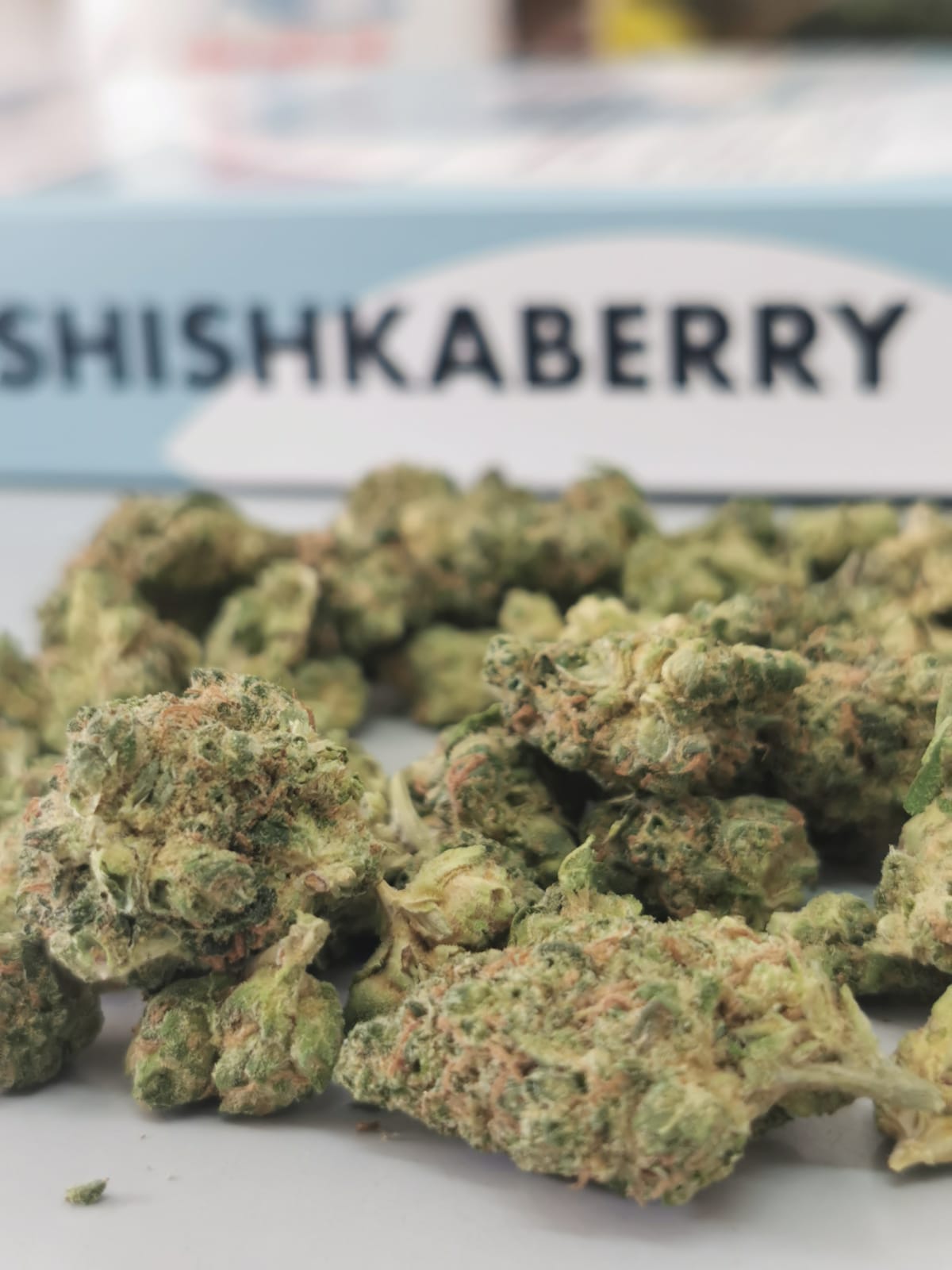 שישקברי יוניבו