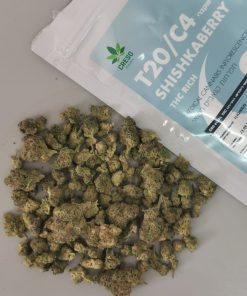 שישקברי יוניבו