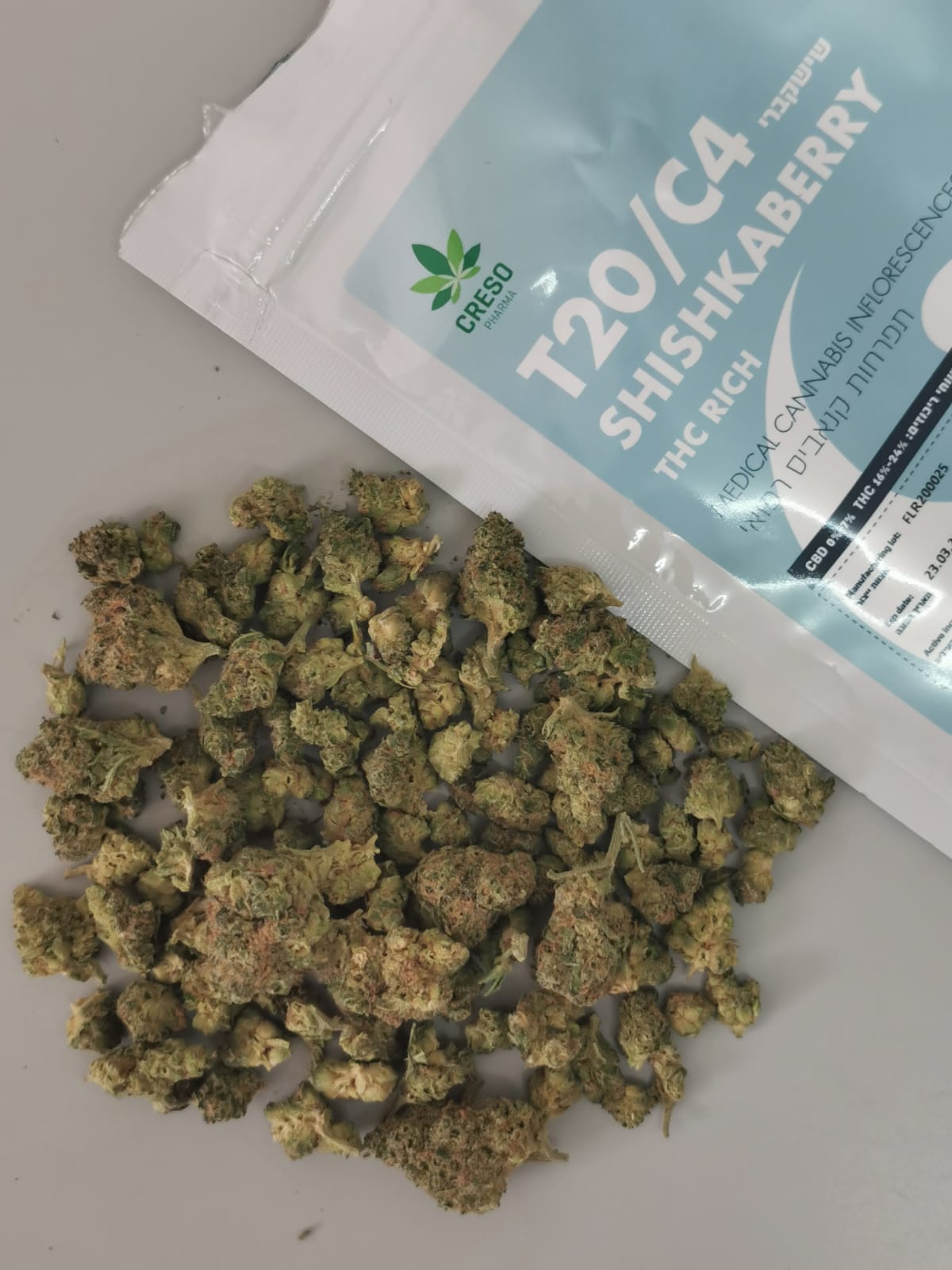 שישקברי יוניבו