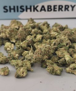 שישקברי יוניבו