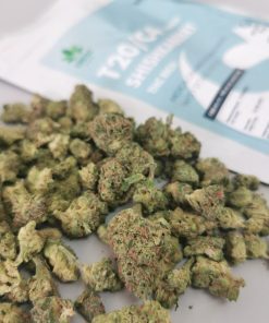 שישקברי יוניבו