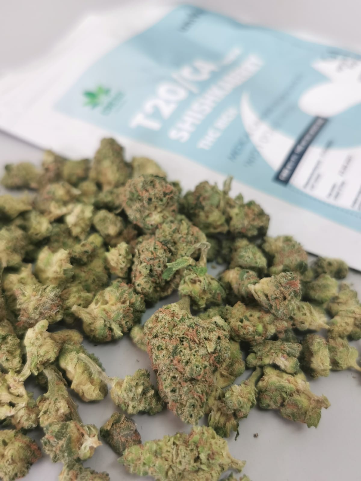 שישקברי יוניבו