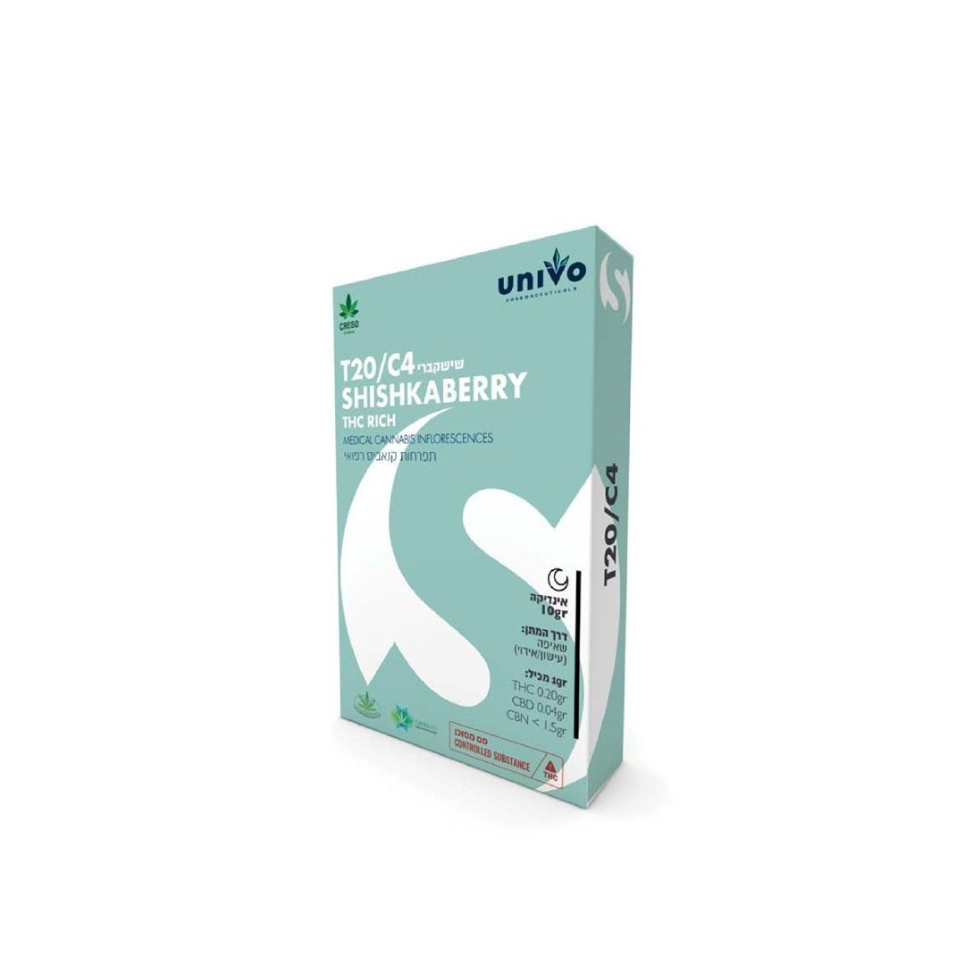 שישקברי יוניבו