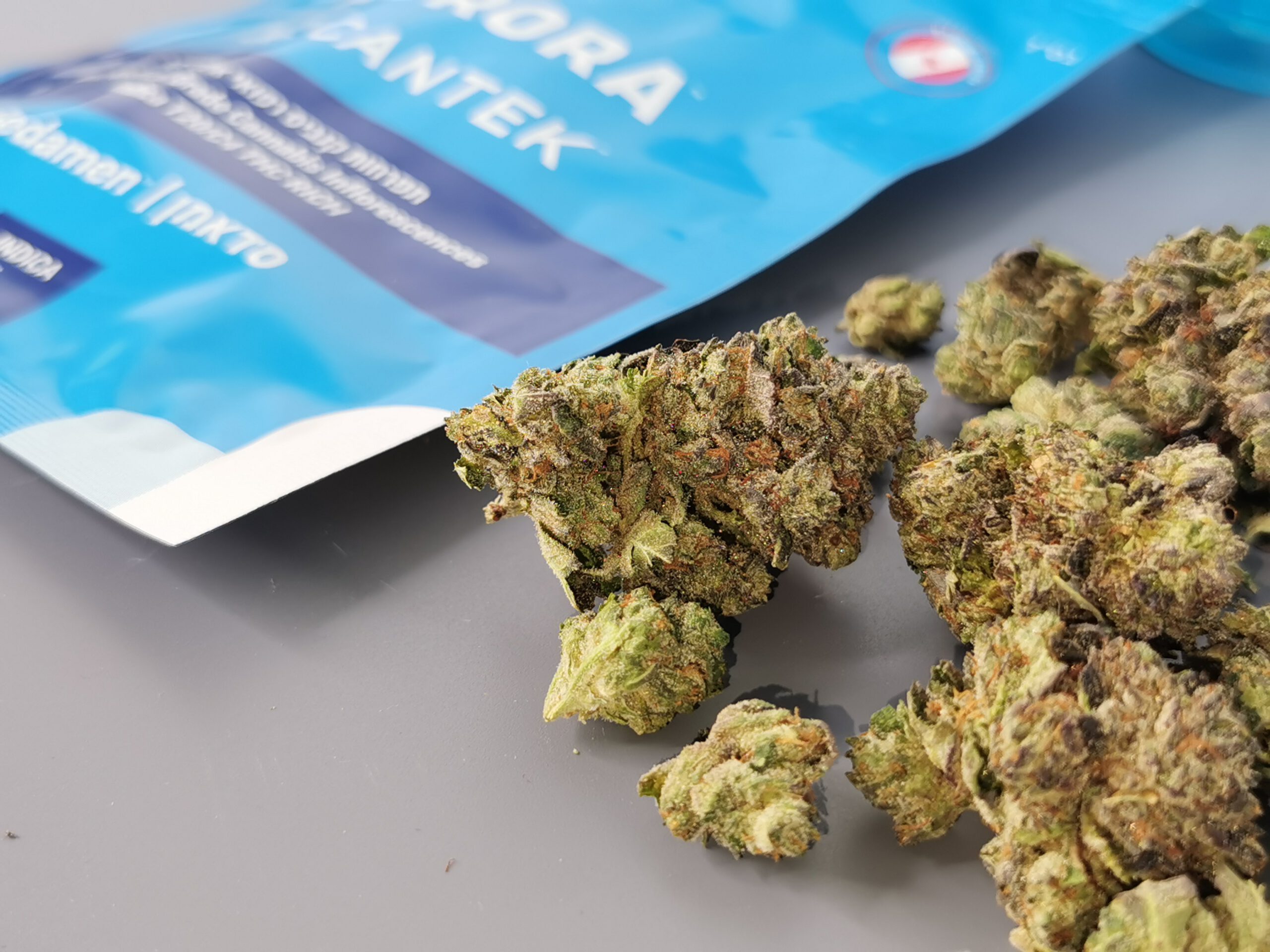 סדאמן Sedamen קנאביס רפואי אינדיקה T20 C4 אורורה Aurora קנאליסט