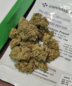 פרויד (Freud) היברידי - סדרת Indoor קנאשור