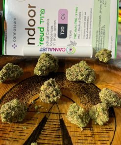 פרויד T20C4 מדוקאן