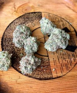 פרויד היברידי T20C4