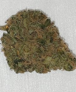 פרויד קנאביס