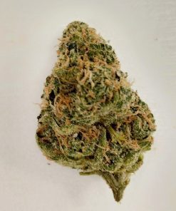 פרויד קנאביס