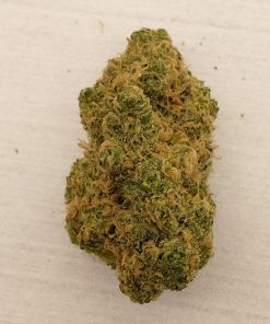 פרויד קנאשור 1