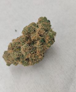 פרויד קנאשור 4