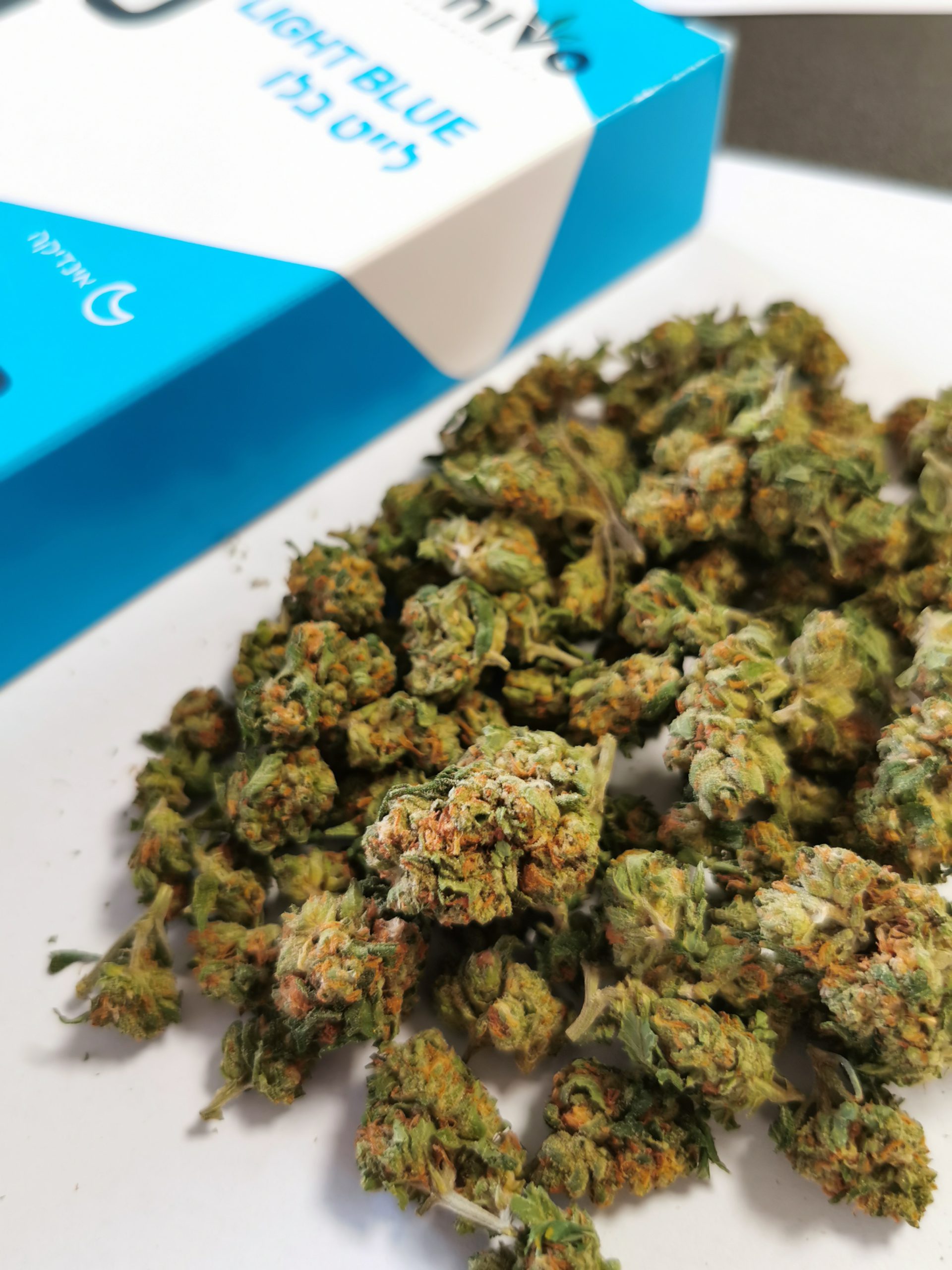 תפרחות קנאביס לייט בלו אינדיקה T20C4 יוניבו