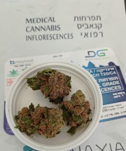 תפרחות יהב (Yahav) אינדיקה | T20C4 | קנאביס רפואי | דוד וגולית