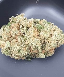 פרנהייט קנאביס היבריד