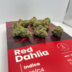 דליה אדומה (Red Dahlia) | אינדיקה T20/C4